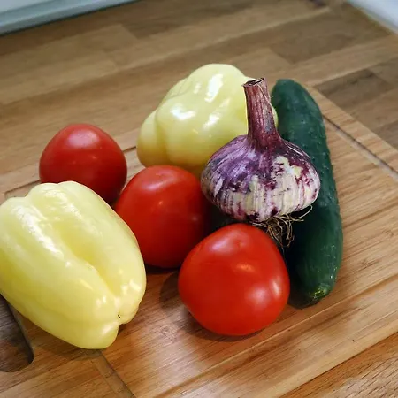 Camp San Antonio ビオグラード・ナ・モル