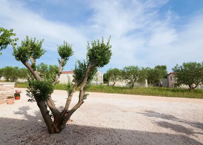 Camp San Antonio Campingplatz Weißenburg