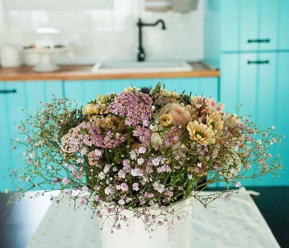 Campingplatz Camp San Antonio