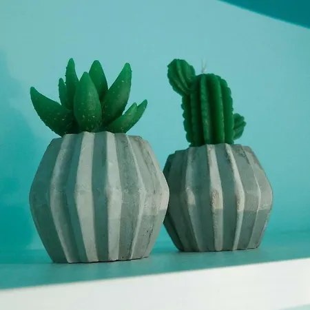 Кемпинг Camp San Antonio